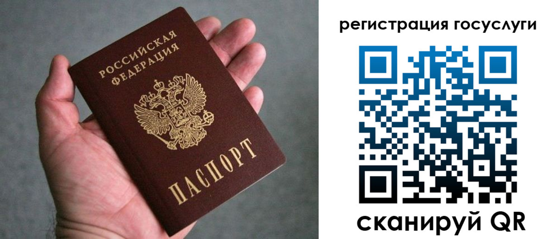 прописка поиск в Зеленогорске